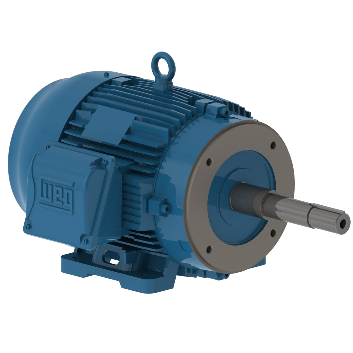 WEG Electric Motor 00118ET3E143JP-W22