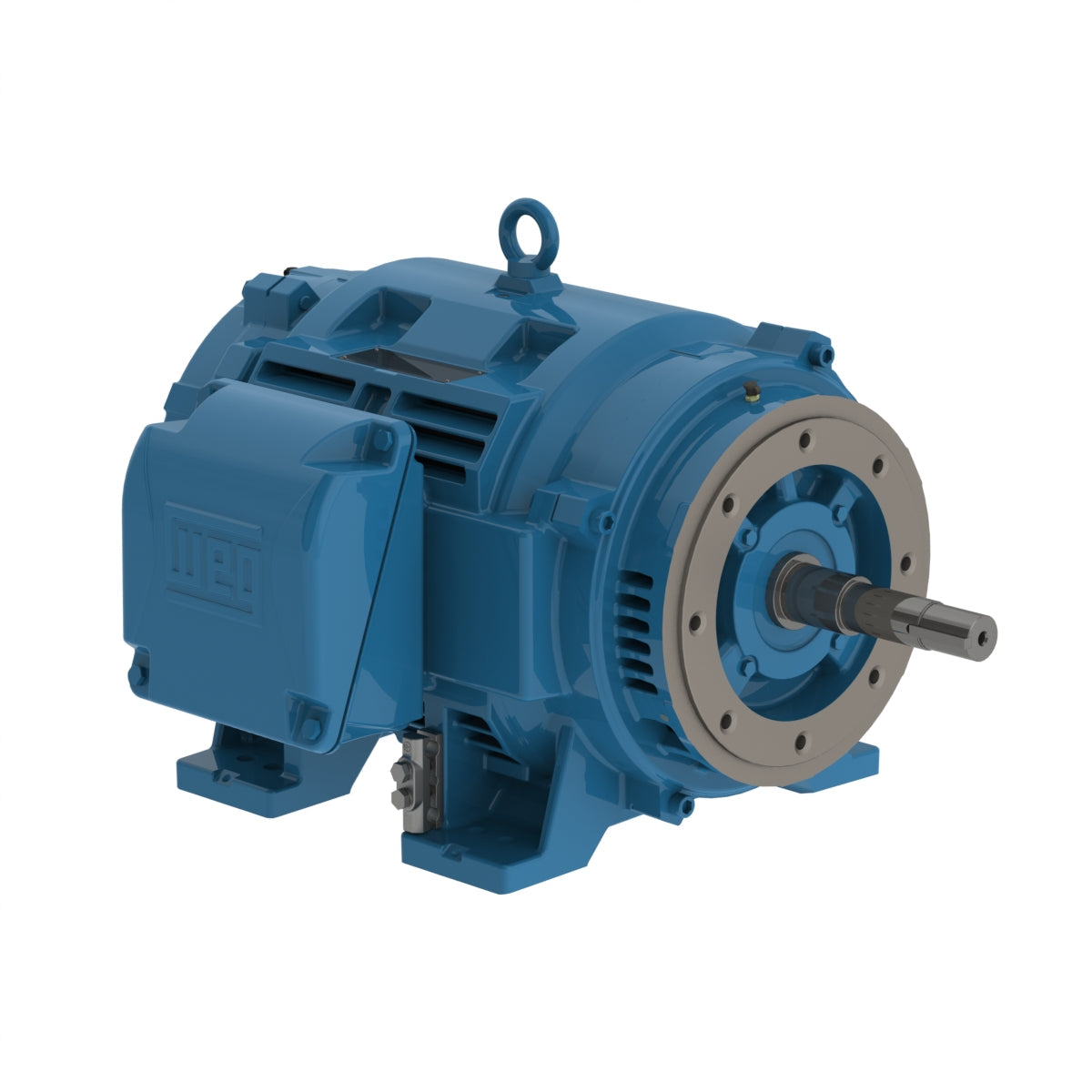 weg_electric_motor