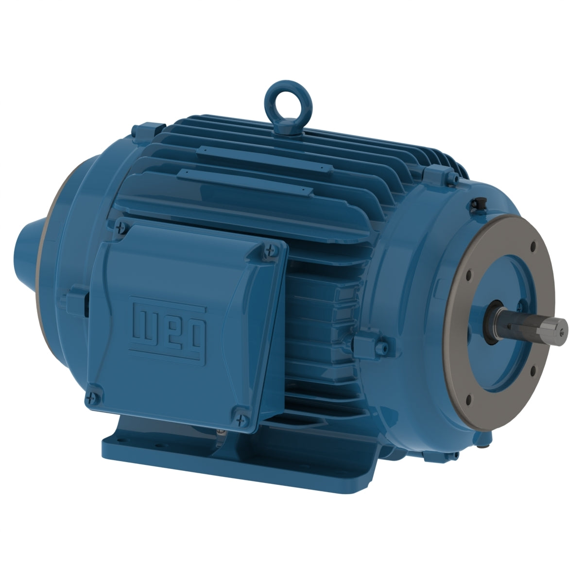 weg_electric_motor