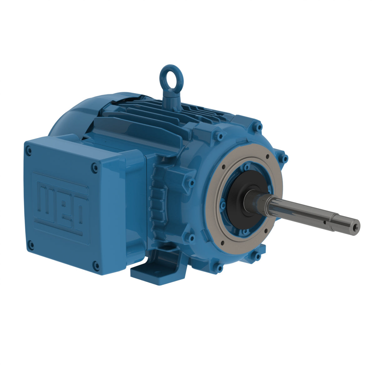 weg_electric_motor