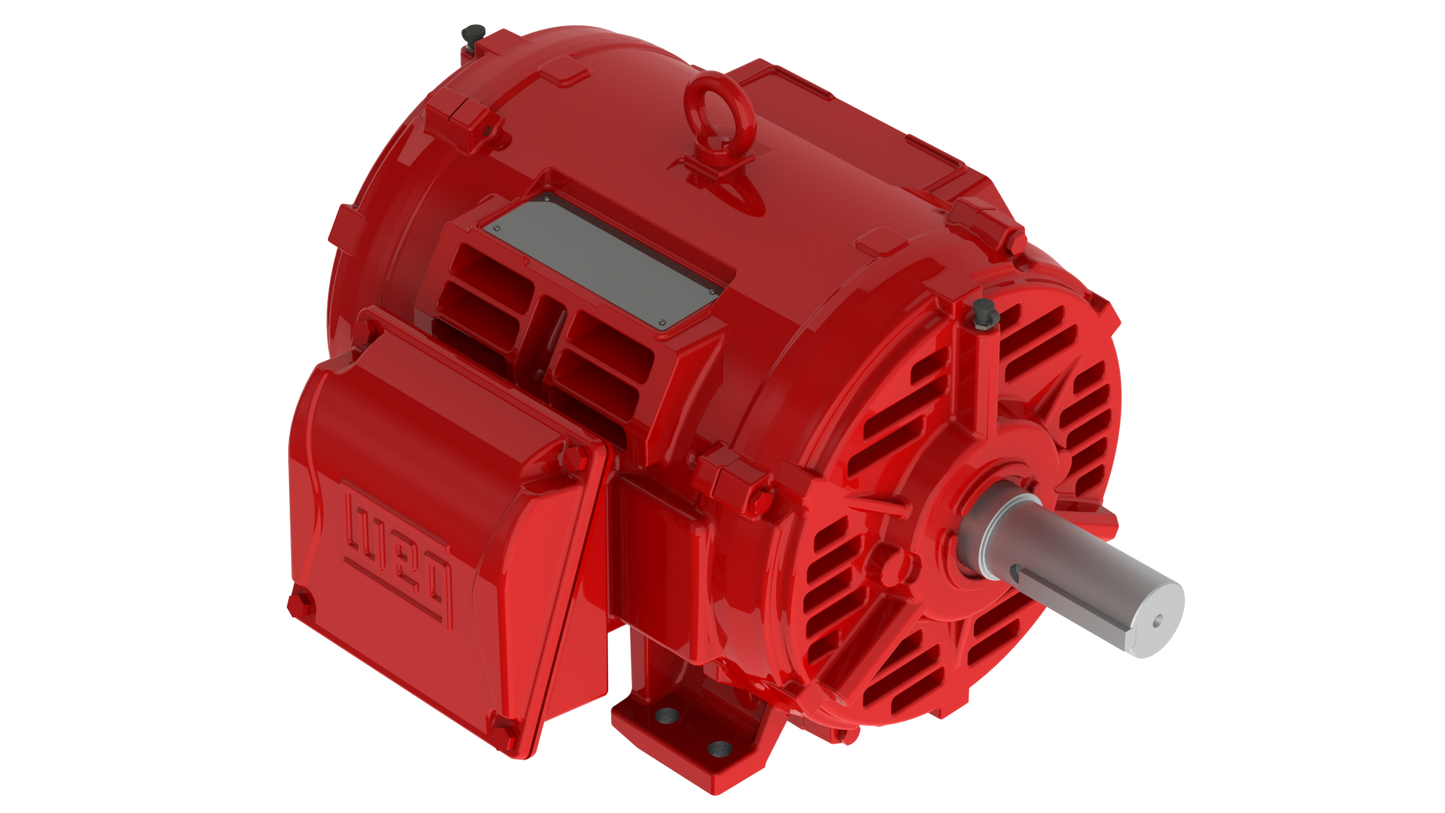 weg_electric_motor