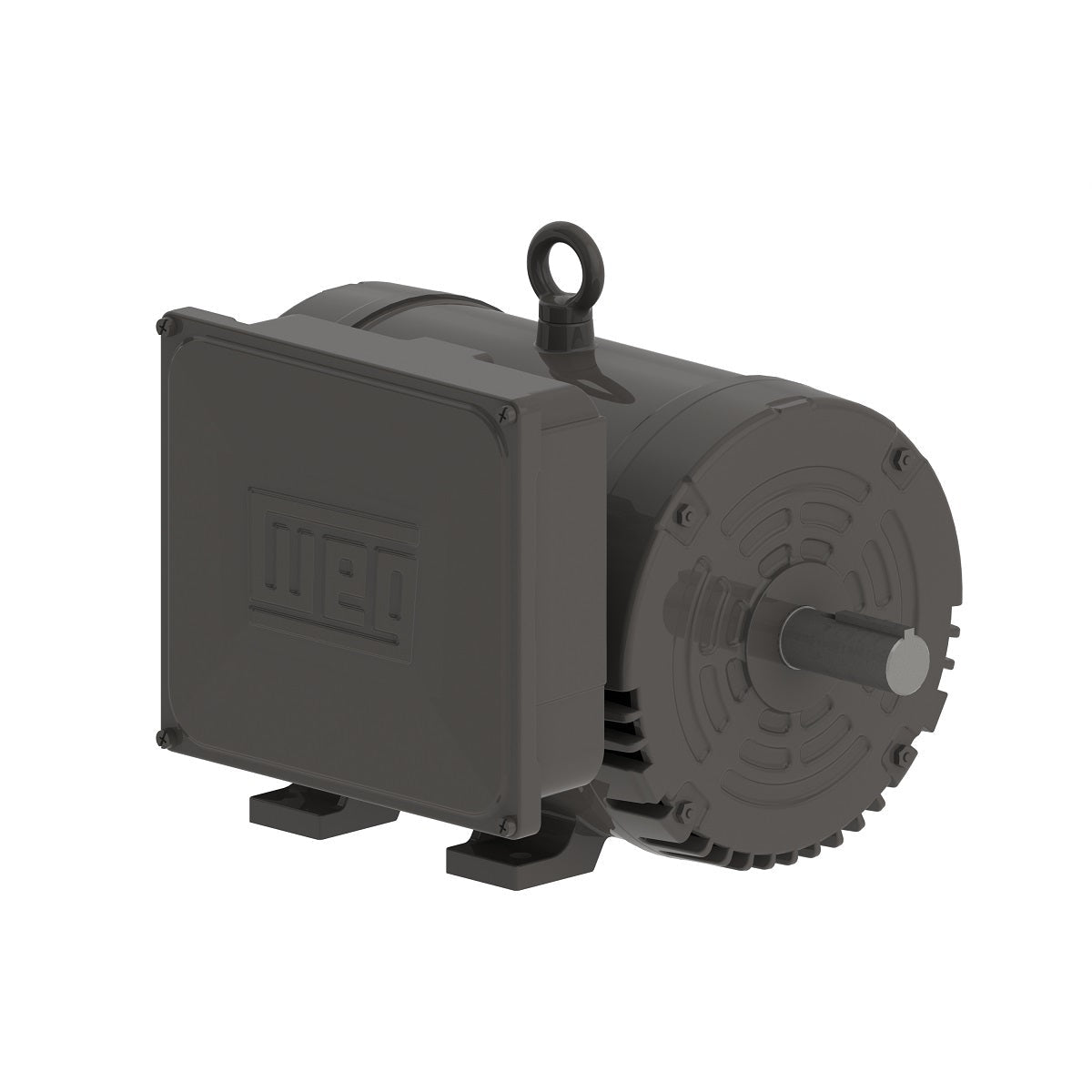 WEG Electric Motor 00336OS1B182T