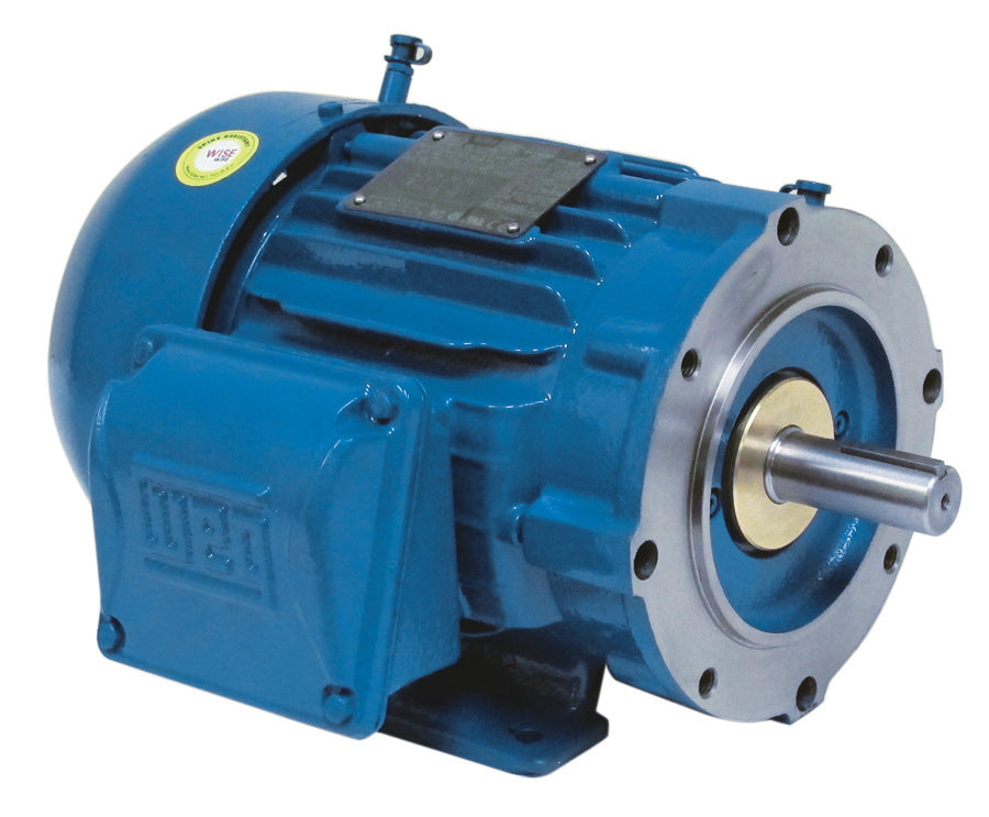 WEG Electric Motor 00118ST3QIE143TC-W22