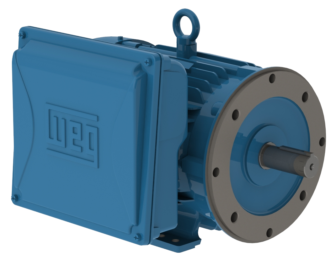 weg_electric_motor