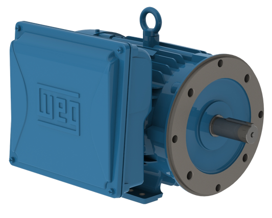 weg_electric_motor