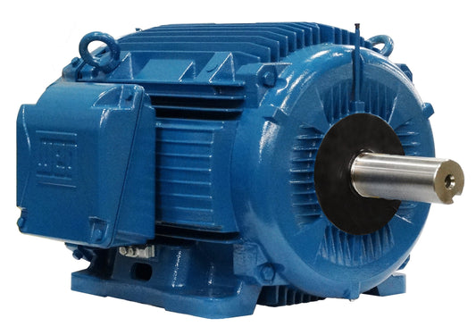 weg_electric_motor