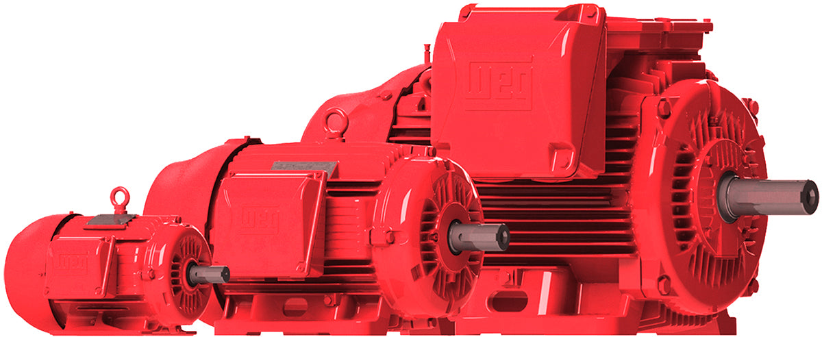 weg_electric_motor