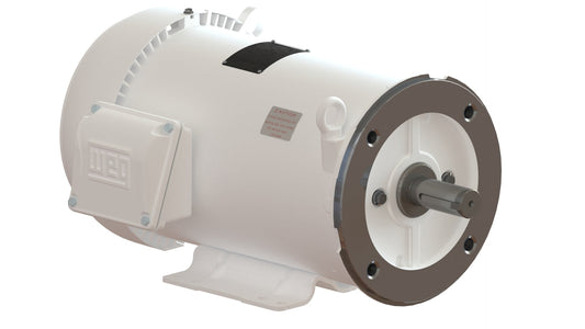 weg_electric_motor