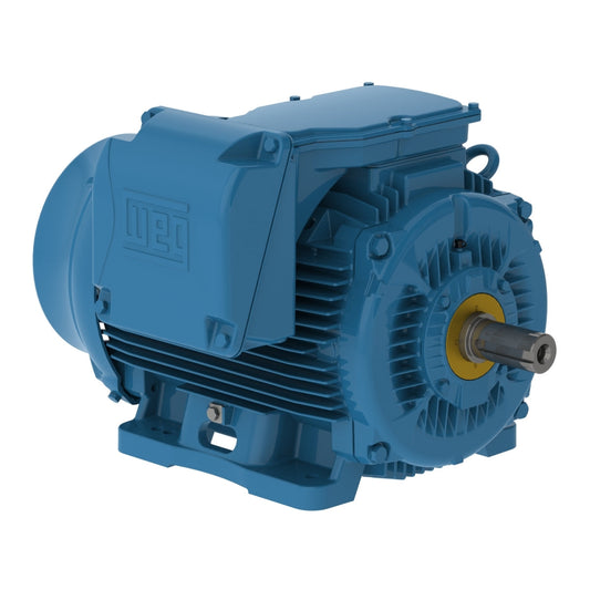 weg_electric_motor