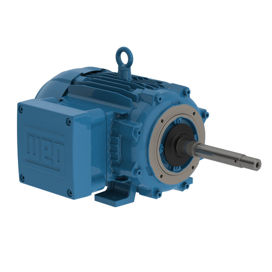 weg_electric_motor