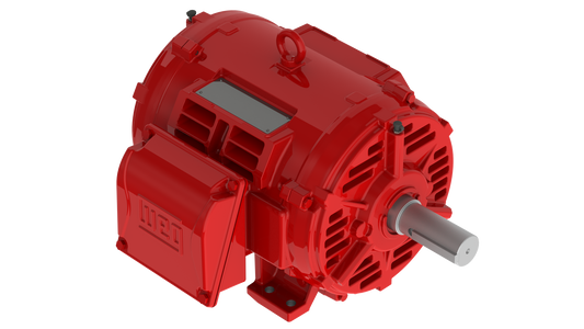weg_electric_motor